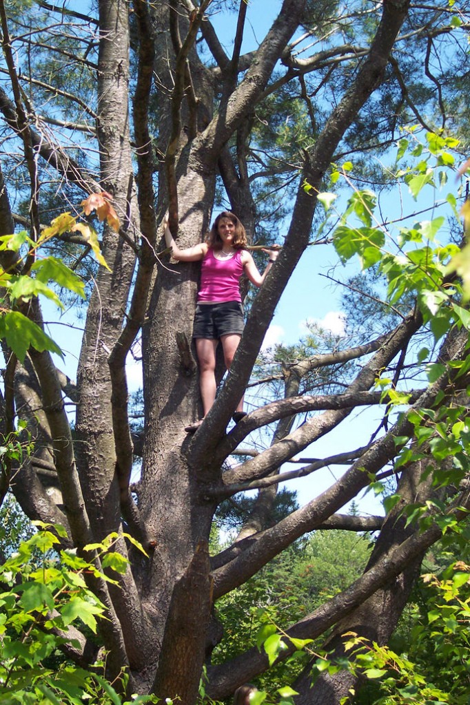 And this is the amazing climbing tree that Gianna climbs in the book! I couldn’t resist climbing it, too.