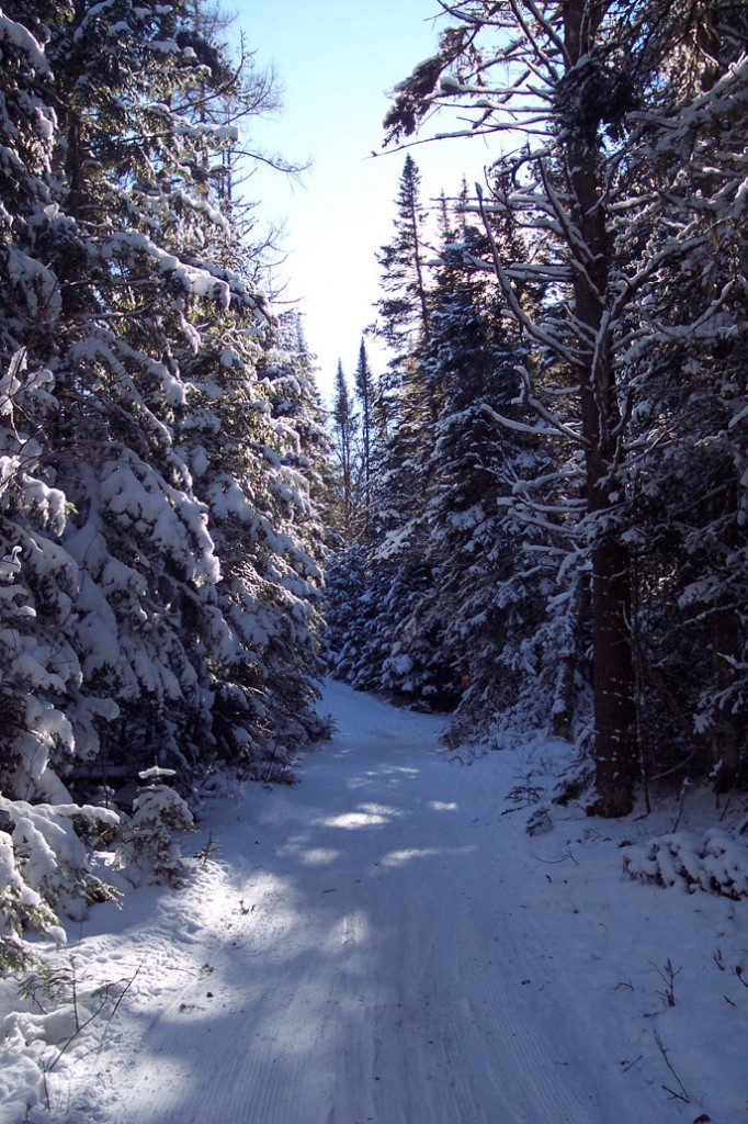 The Adirondack cross country skiing trail that inspired OVER AND UNDER THE SNOW.