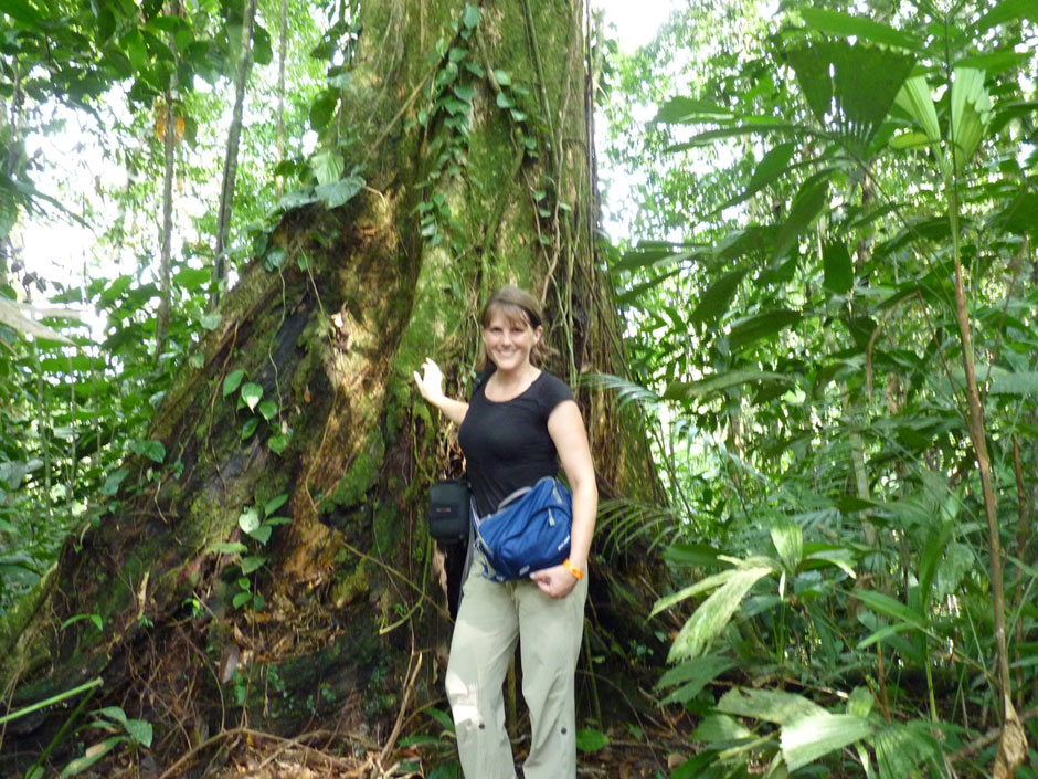 My Costa Rica research meant some hot, sticky afternoons hiking through the rainforest, and seeing some incredible animals!