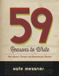59 Reasons to Write cover