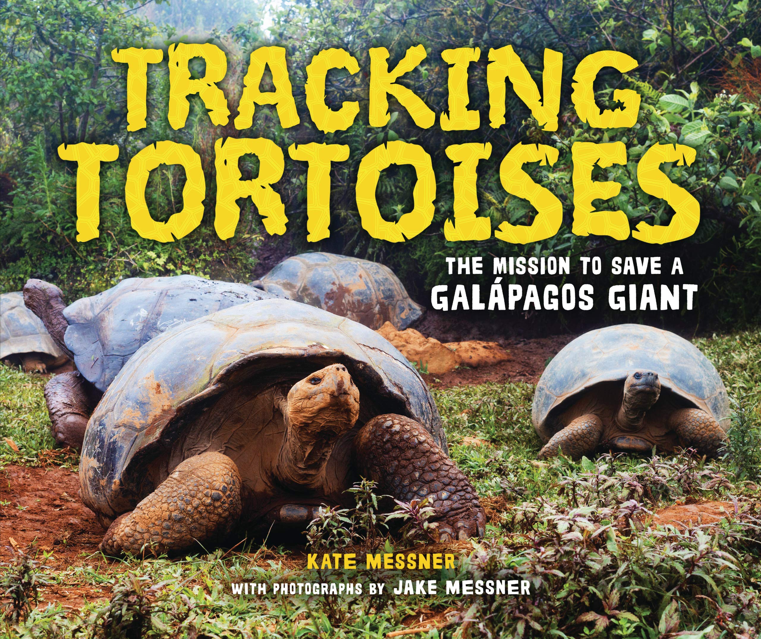 Cover of Tracking Tortoises by Kate Messner