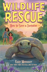 Link to buy How to Save a Tortoise by Kate Messner